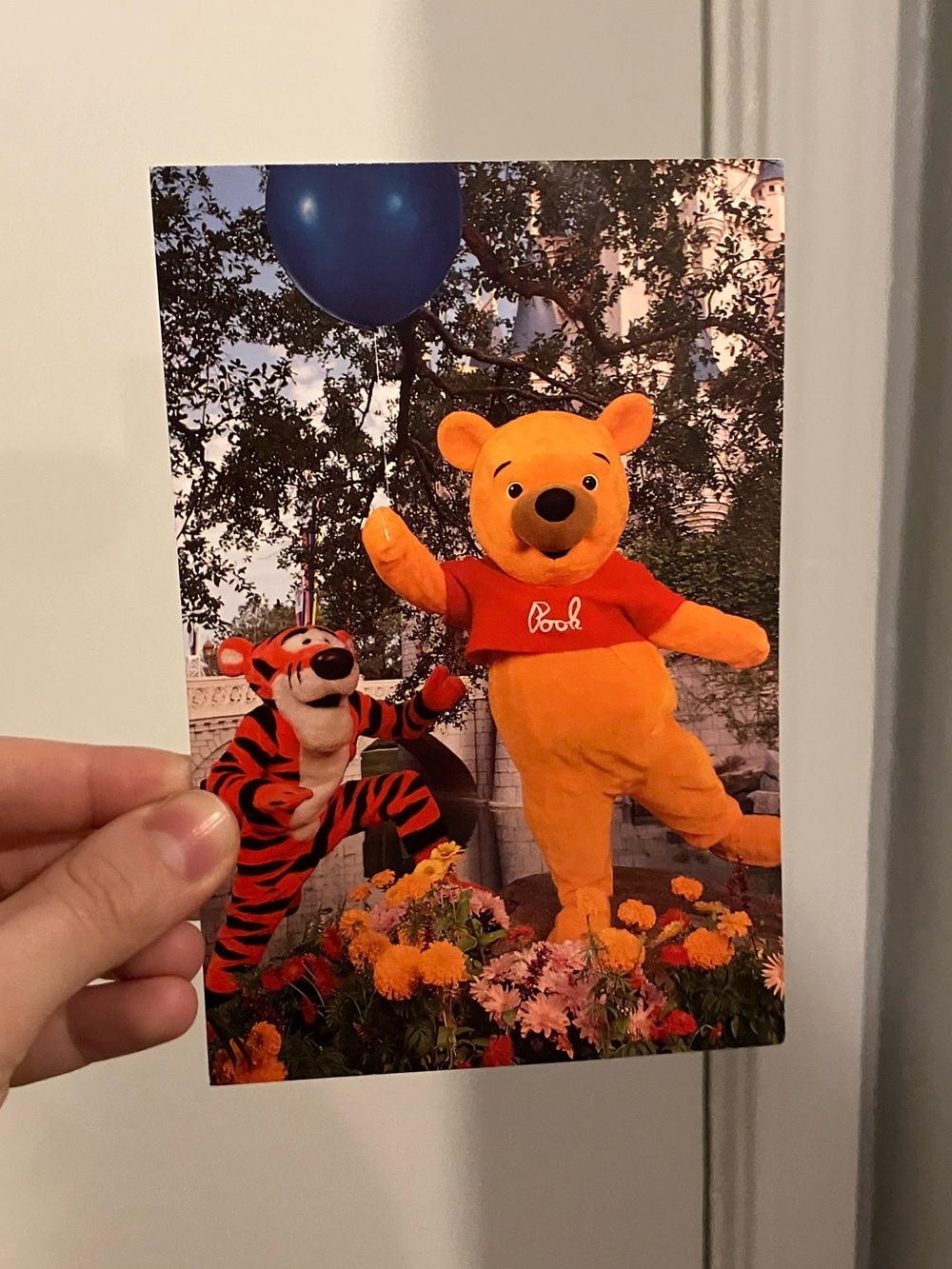 Vintage Walt Disney World Postcard Helping is What Tiggers do Best